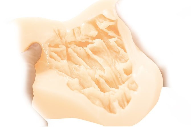 Tamatoys Monitored by Cyber Iguana! Extra-long cleavage organs - Rei - TMPR-013