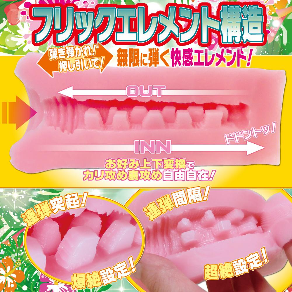 라이드 재팬 플릭 요소