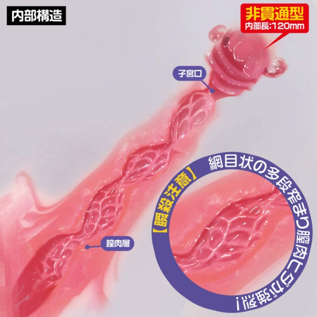 매직아이즈 수지만 쿠파 세츠나 키츠나 플러스 기치기치 하드 에디션