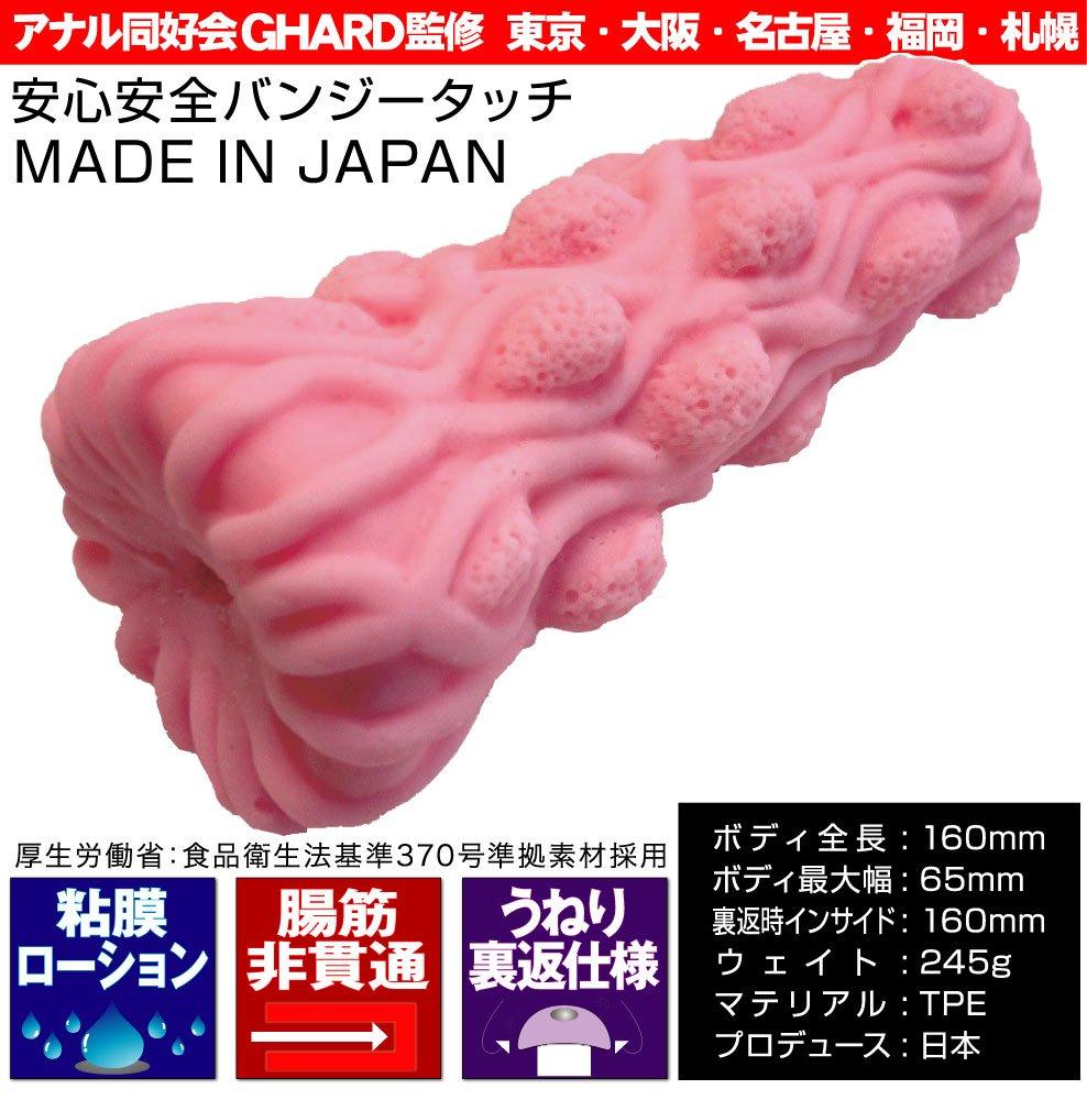 타고 일본 항문 교사