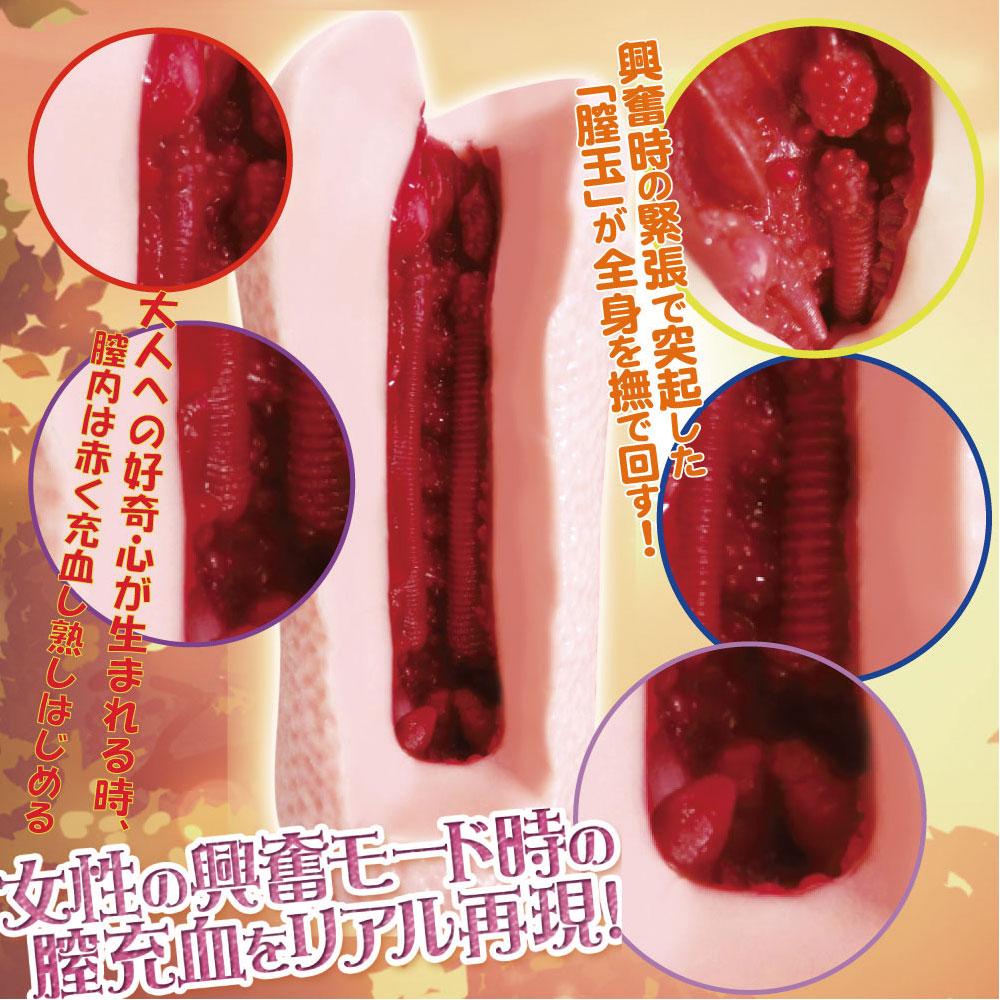 라이드 재팬 세미 성숙한 JC