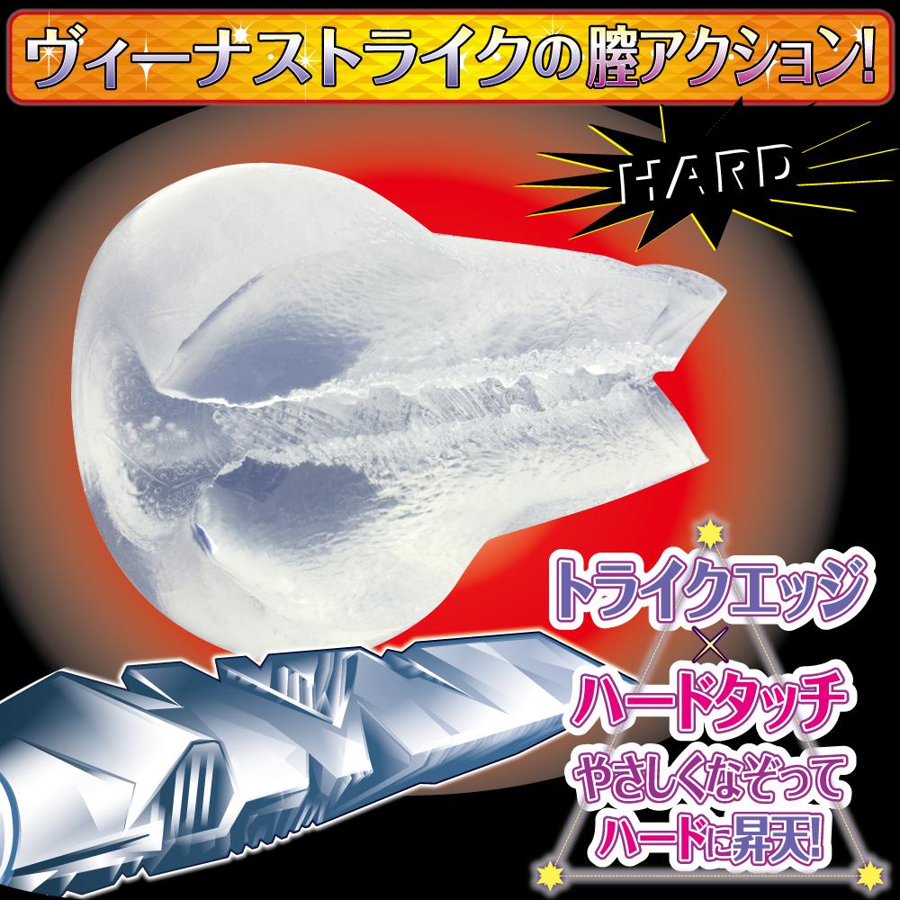 일본 비너스 트라이크 타기